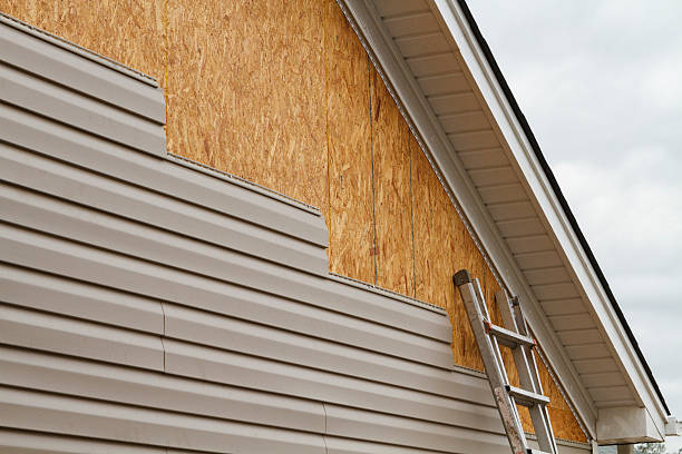 Professional Siding Inspection technician working in Canton, NC